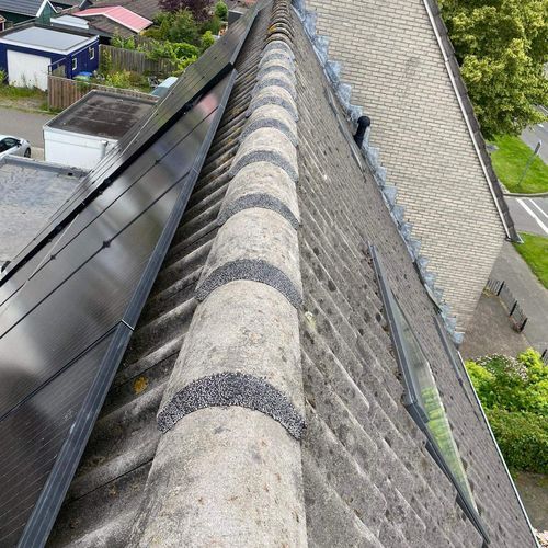 Nokvorsten Dinteloord hersteld Nokvorsten zijn opnieuw vastgezet